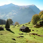 Egg-isch By Interhome *