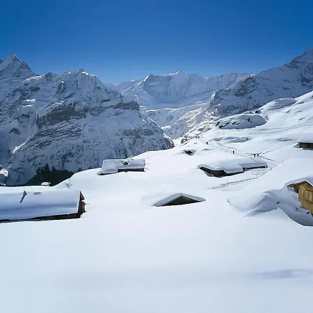 Horská chata Egg-isch By Interhome Grindelwald